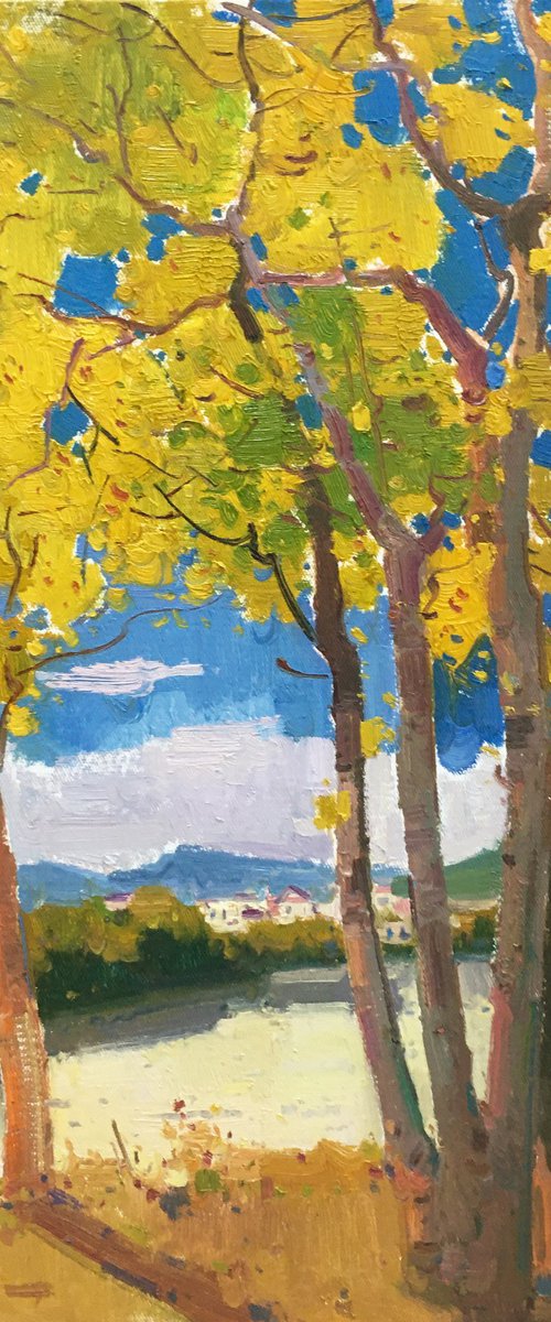 Autumn 261 by jianzhe chon