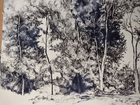 The sheltering trees