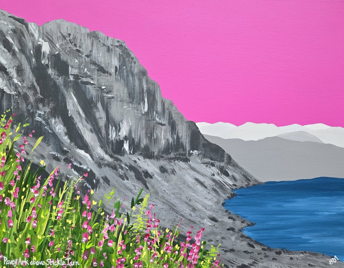 Organic Landscape Acrylic Painting By Sam Martin, 18 X 14", Pavey Ark Above Stickle Tarn, Original Artwork