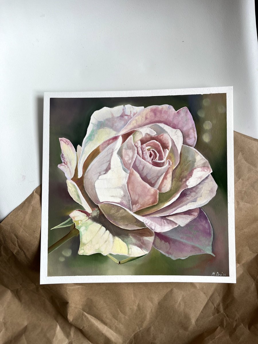 Photorealistic Oil Painting , Gentle Rose By Myroslava Denysyuk, 12 X 12, Artwork For Sale On Artfinder