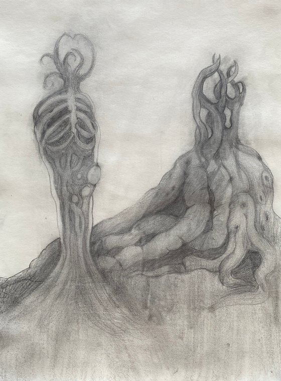 Roots