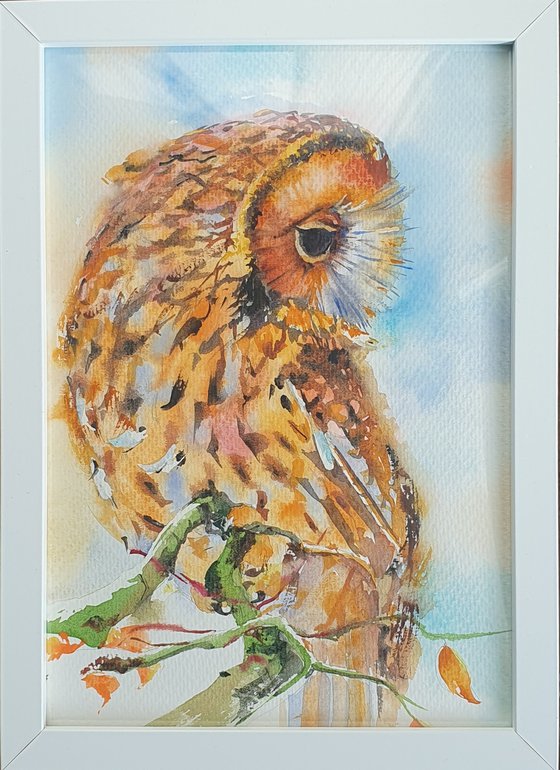 Owl 2 - Autumn Guardian