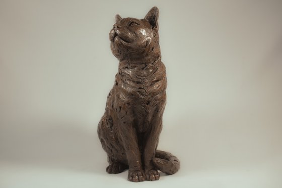 Sitting Cat BR