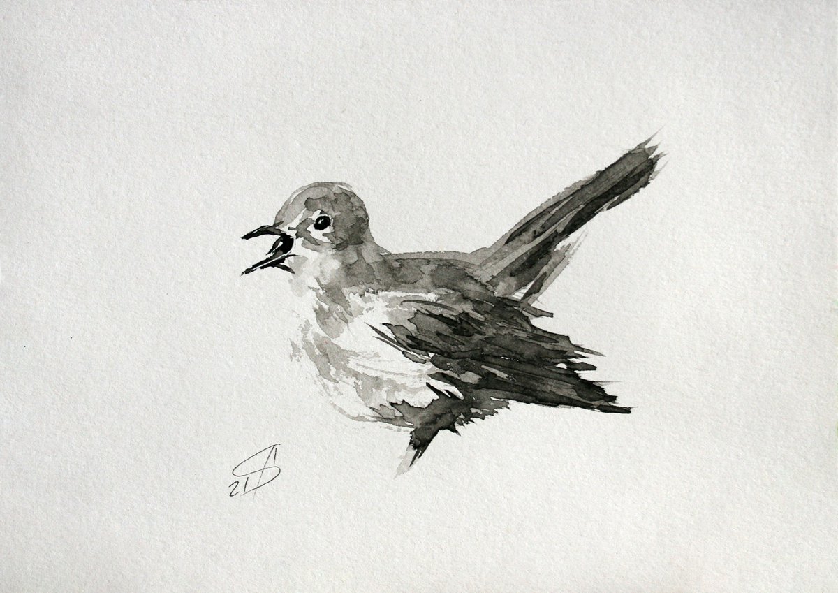 Animal Ink Drawing By Salana Art / Svetlana Samovarova, 8 X 6", Bird Ii, Original Artwork