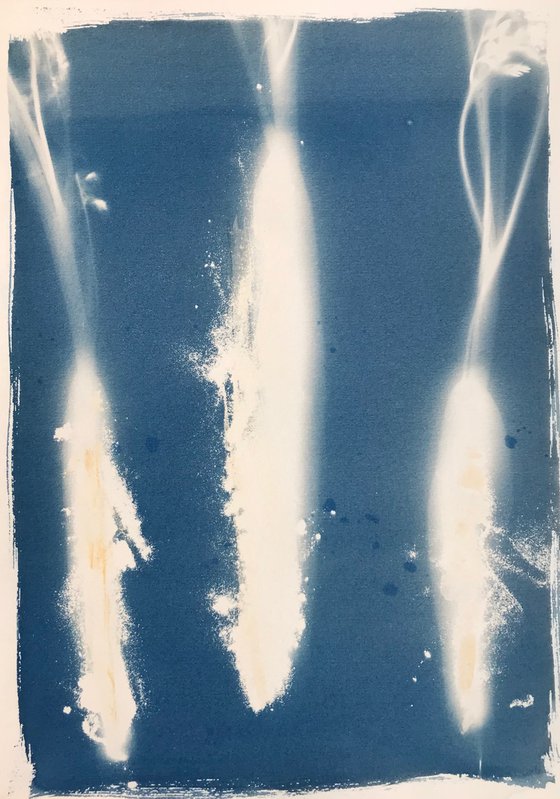 Triplets - Cyanotype