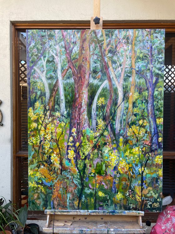 EUCALYPTS AND WATTLE