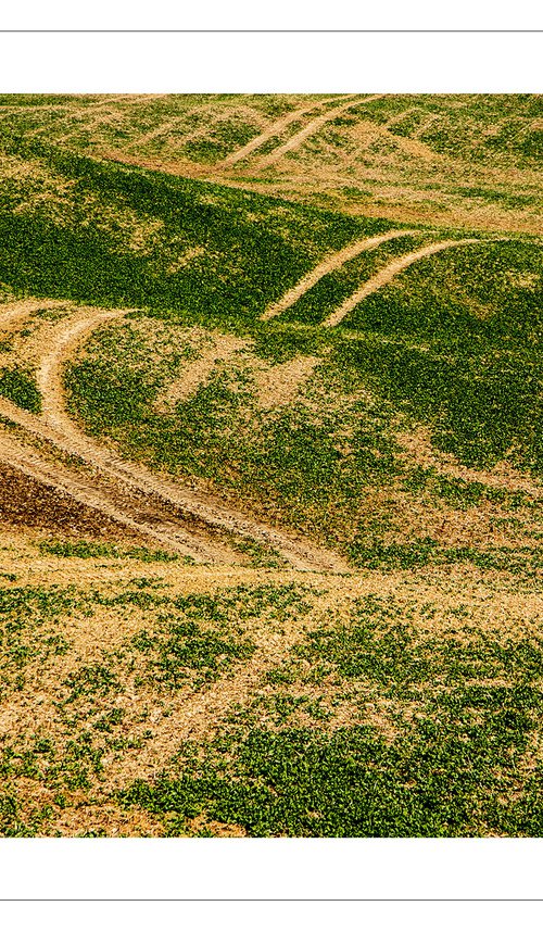 Infinity of Distant Roads by Beata Podwysocka