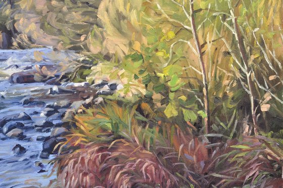 The Loire, autumn morning