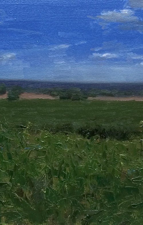 By the Field by Michael Rak