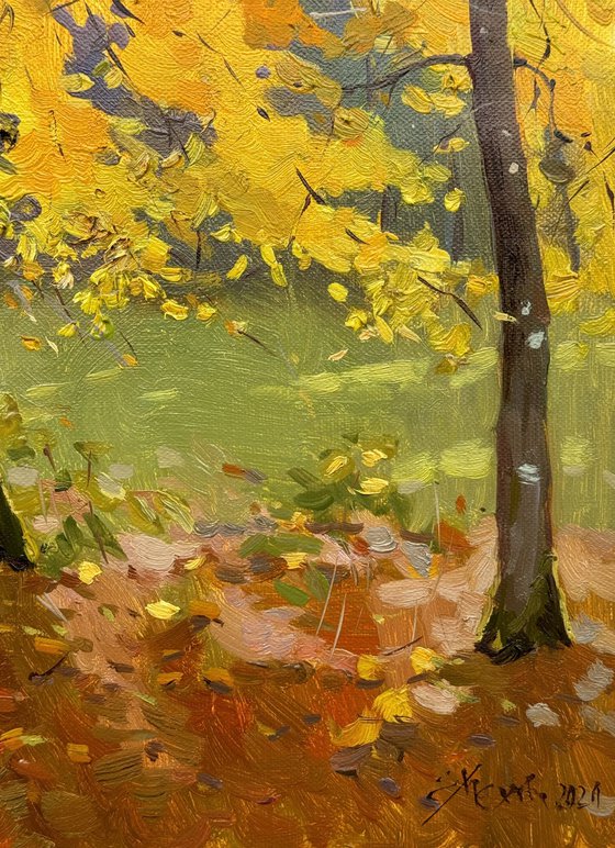 Autumn Forest