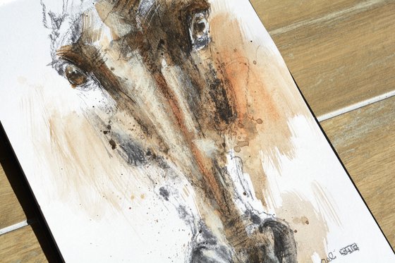 Equine Nude 283