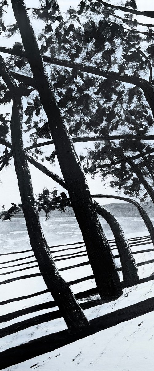 Cap Coz black by Cadiou Frederic