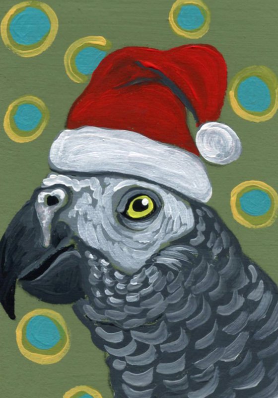 African Gray Christmas