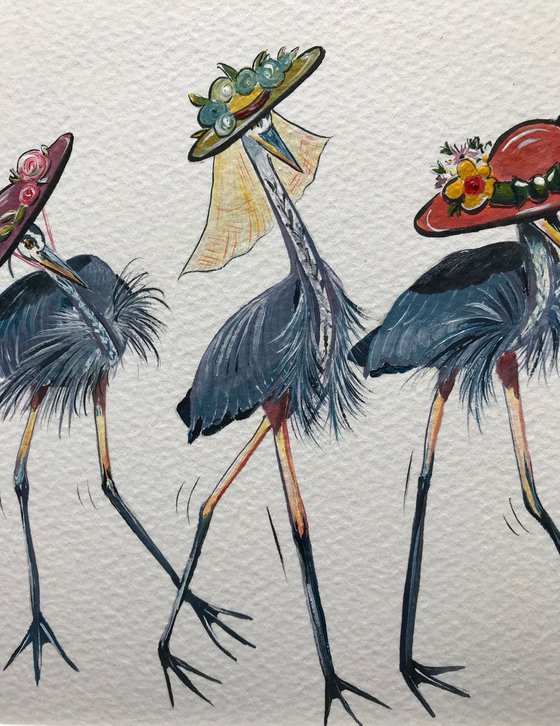 Herons in hats