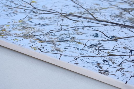 Tree branches
