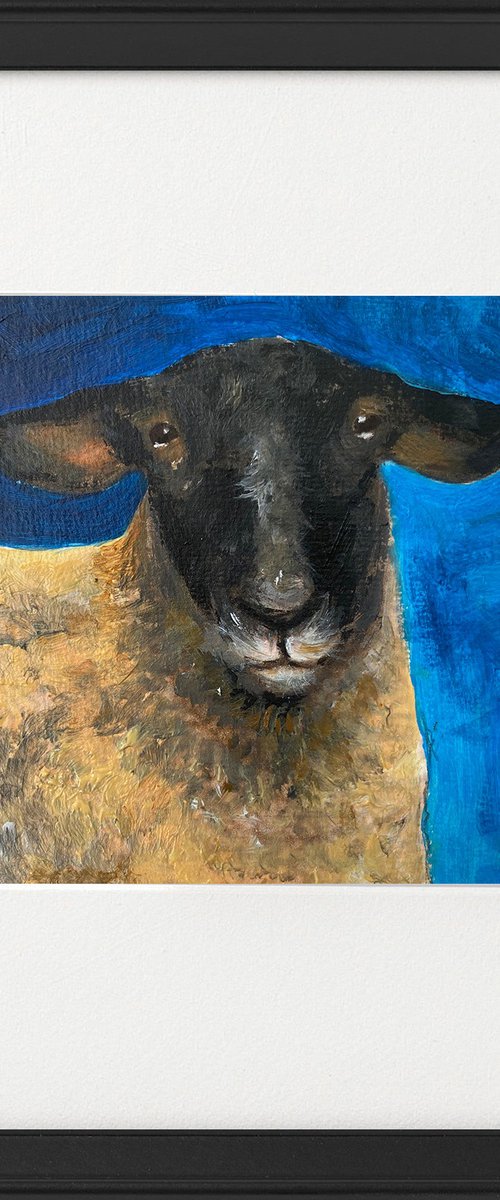 Three sheep portraits framed by Teresa Tanner