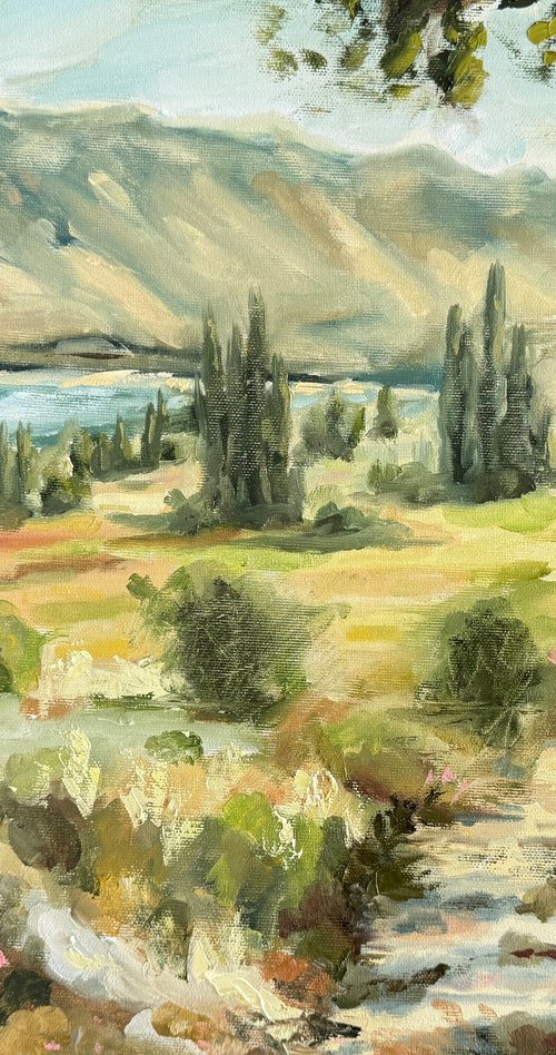 Where the Light Stays by Alisa Cherkun Drukman