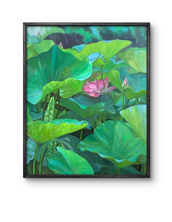 Blooming lotuses. Maturity