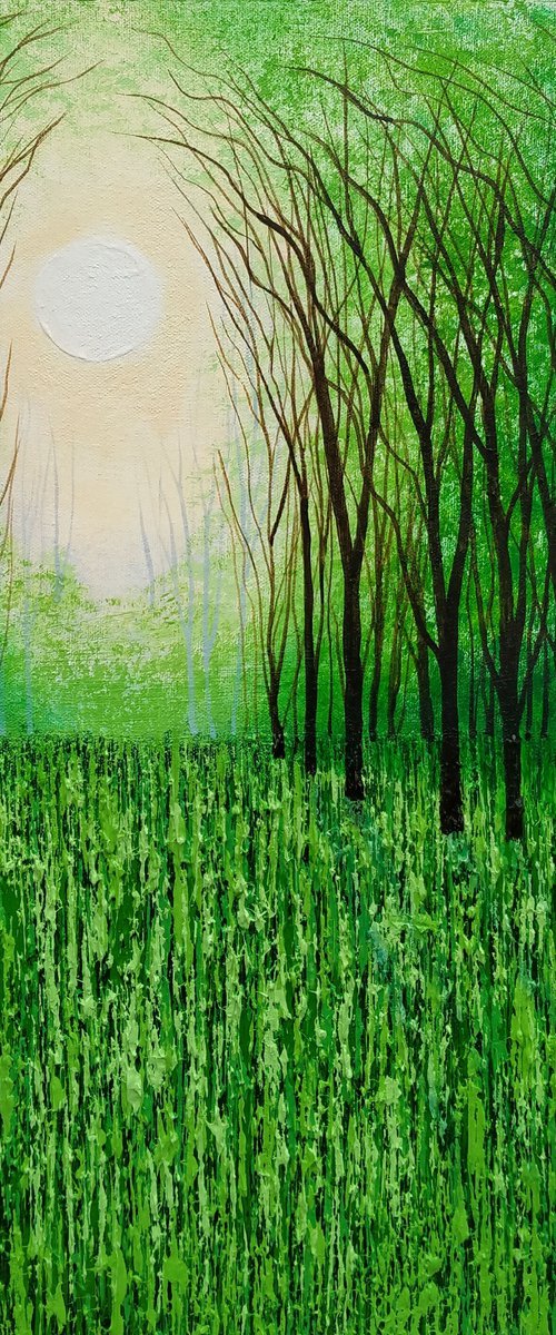 Tanglewood and Evergreen by Amanda Horvath