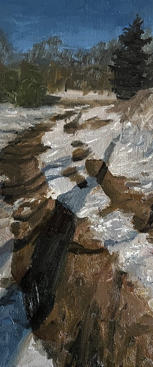 Beginning of spring by Michael Rak