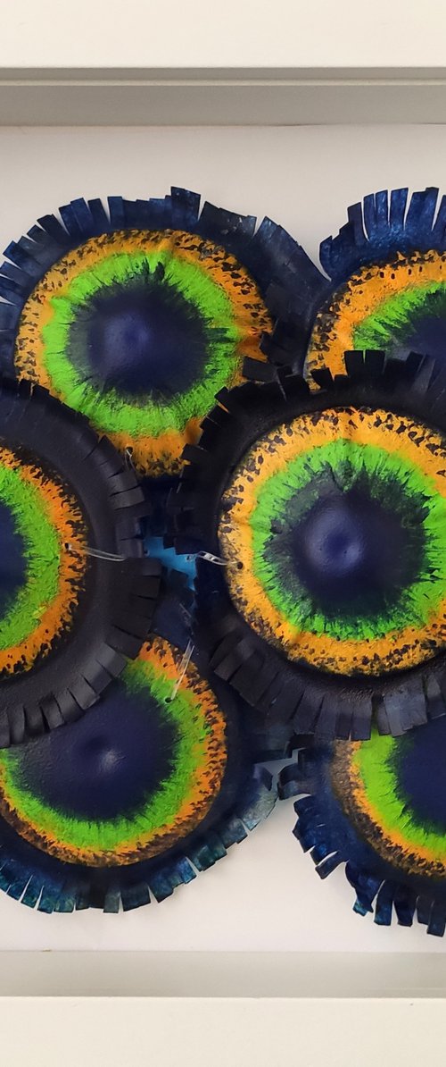 Zoanthids colony-5 by Swapna Namboodiri