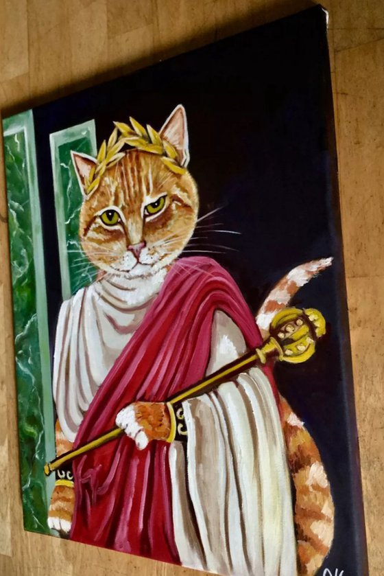Caesar. Feline  look .