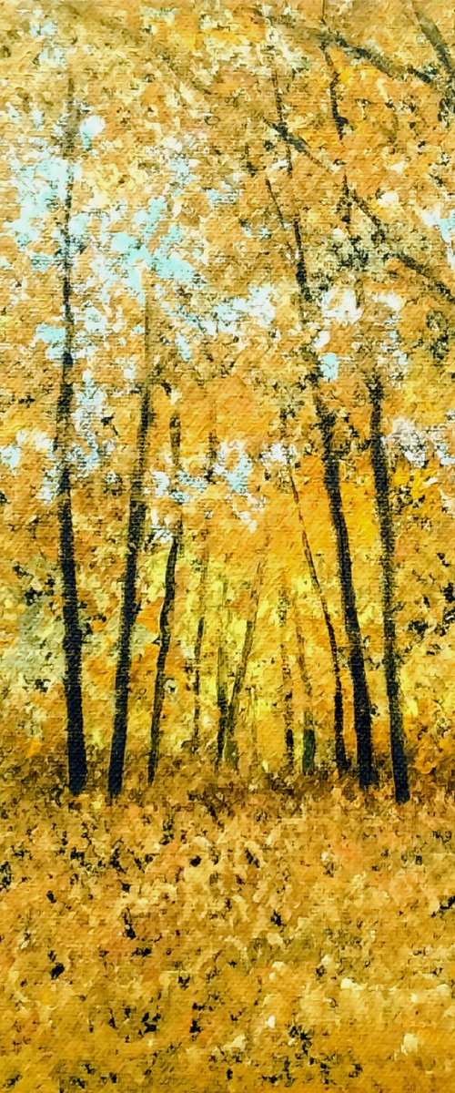 Autumn Trees, Hampshire by Jan Rippingham