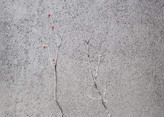 Boundary#002-Japanese winterberry, old plum tree, bracken, water pepper