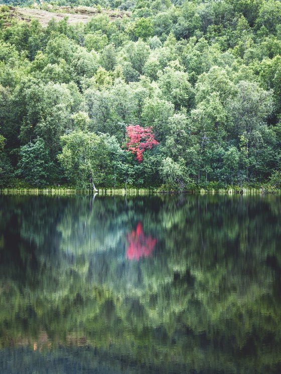 A RED DROP