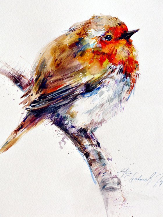 Robin _22 watercolour original painting