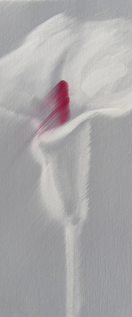Ethereal White Calla Lily - Floral Art by Snezhana Zhukova