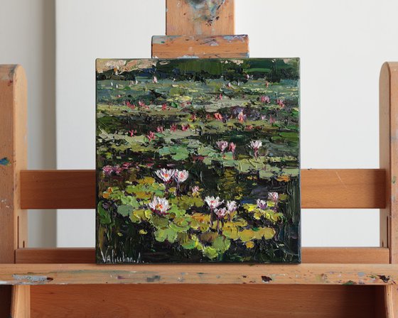 Blooming Water Lilies