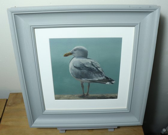 Voices of the Sea Series - Seagull Painting, Bird Art by Alex Jabore