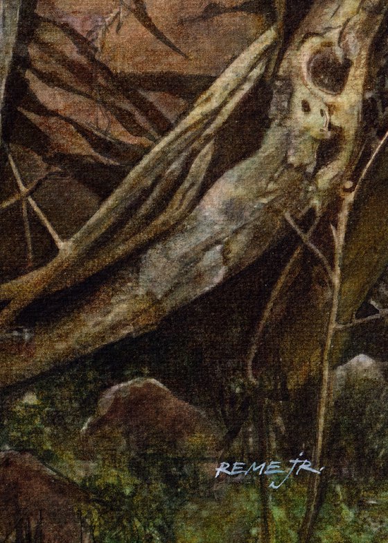 Mountain Tree Roots