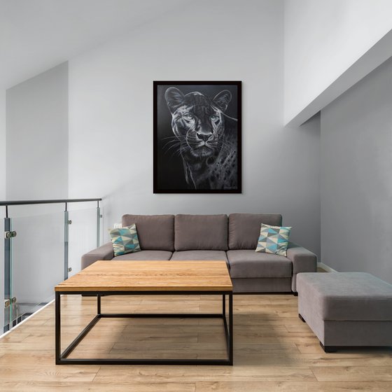 Phantom of the Jungle