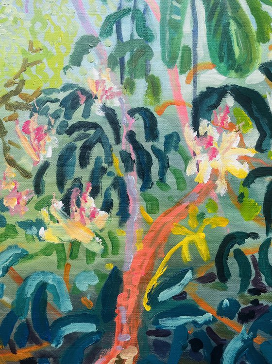 Rhodedendron in Dartlands
