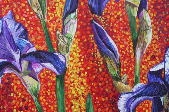Irises, Purple on Red