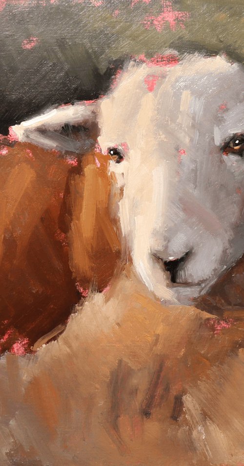 Alla Prima Sheep Portrait by Jade Eynon