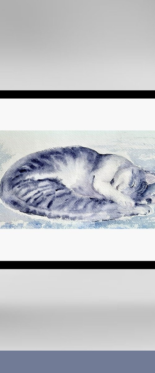 Sleeping Cat 3 by Asha Shenoy