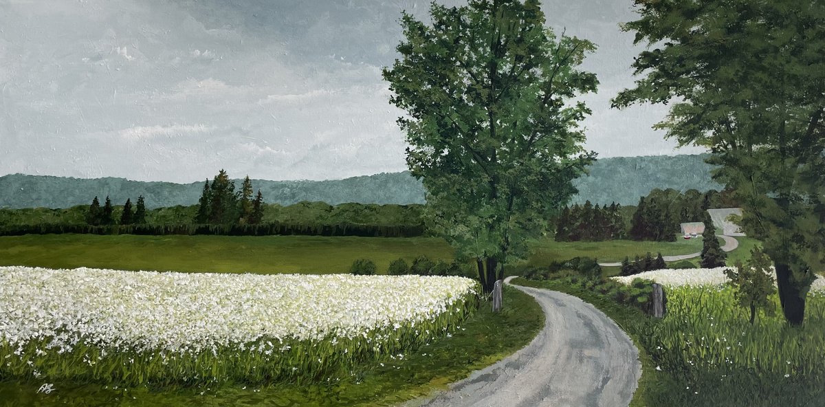 Photorealistic Landscape Acrylic Painting By Anne Shaughnessy, 36 X 18, Country Roads, Original Artwork