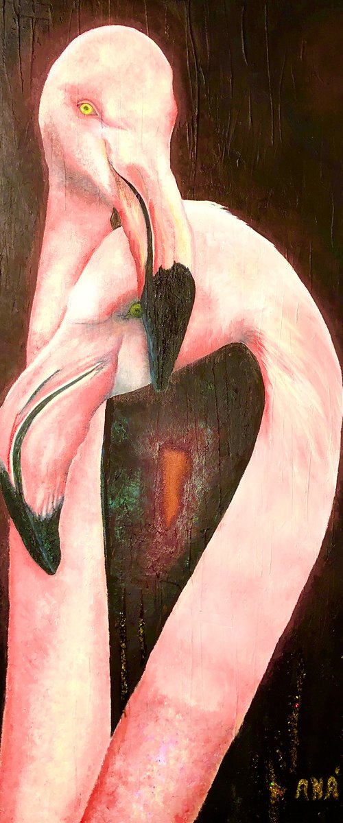 Comfortably Numb: Flamingly Flamingos by Andrew (Ana` Alu) Hollimon