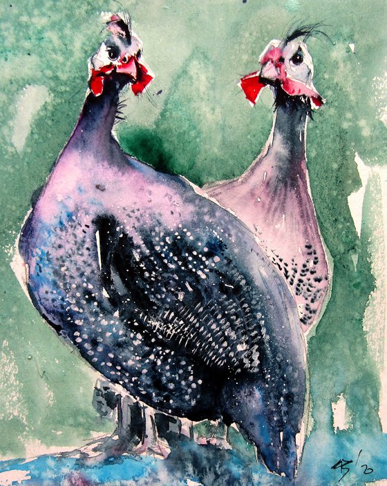 Guinea fowl