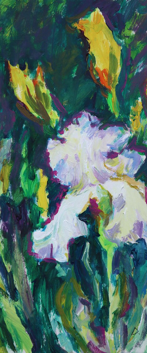 White iris, evening (plein air) original painting by Dima Braga