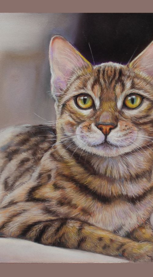 Bengal cat portrait by Tatjana Bril