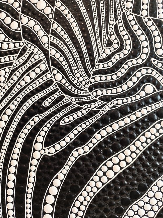 Zebra 8