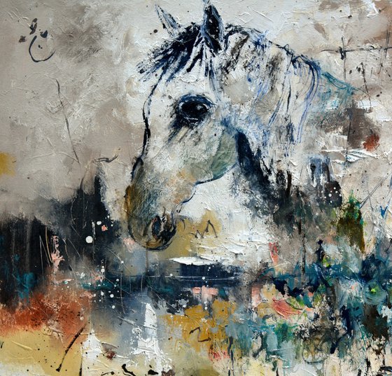 A white horse