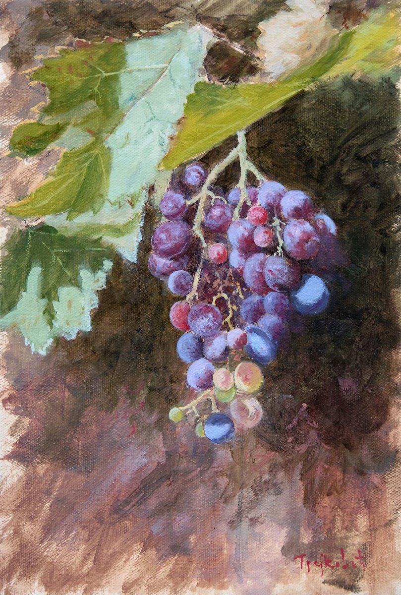 Impressionistic Botanical Oil Painting By Dejan Trajkovic, 13 X 17, Red Grapes 2, Original Artwork