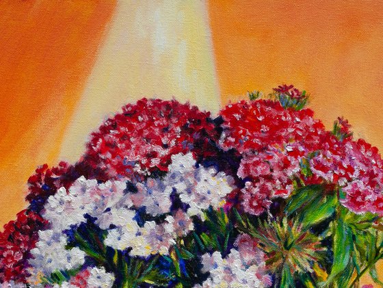 Carnations