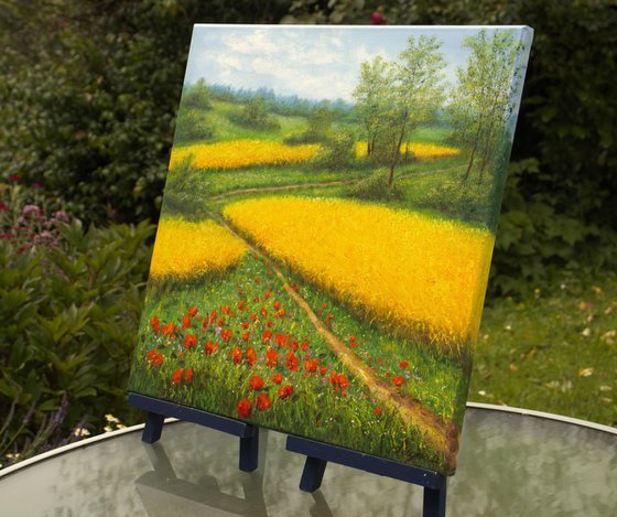 Wheat field and poppy meadow