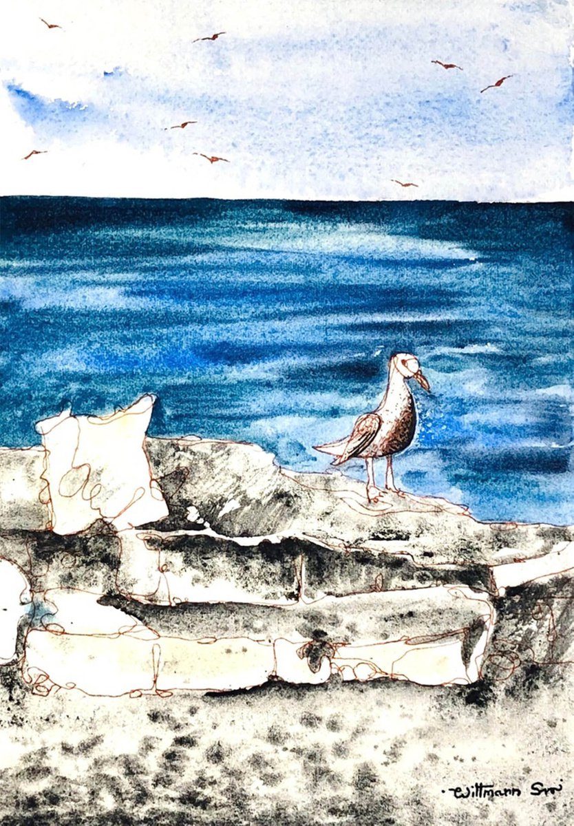Seagull by Svetlana Wittmann